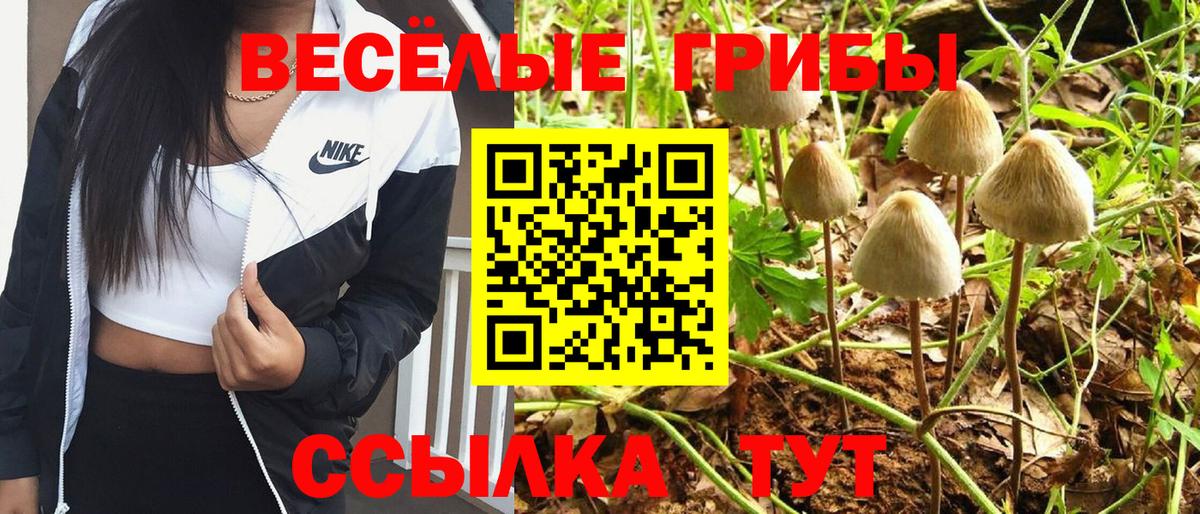 Галлюциногенные грибы Cubensis Ликино-Дулёво