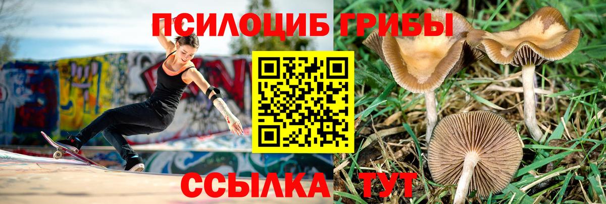 Ликино-Дулёво  Галлюциногенные грибы мухоморы  Вход с VPN 